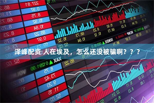 泽峰配资 人在埃及，怎么还没被骗啊？？？