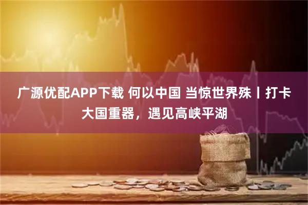 广源优配APP下载 何以中国 当惊世界殊丨打卡大国重器，遇见高峡平湖